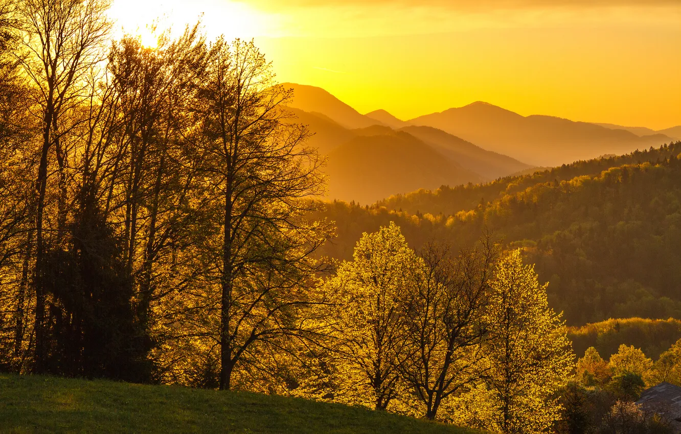 Фото обои осень, солнце, деревья, горы, листва, Лес
