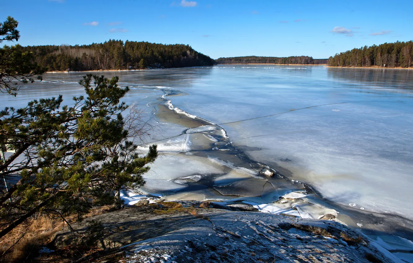 Фото обои лед, лес, небо, снег, деревья, озеро, швеция