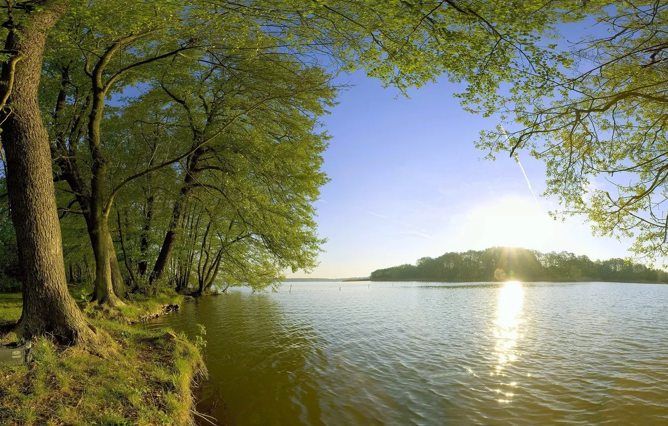 Фото обои вода, деревья, пейзаж, Солнце, сумка, мутная
