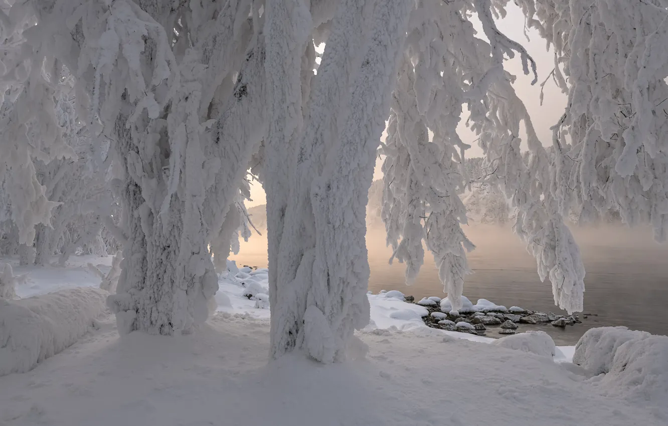 Фото обои зима, снег, деревья, природа, река, берег, мороз, наледь