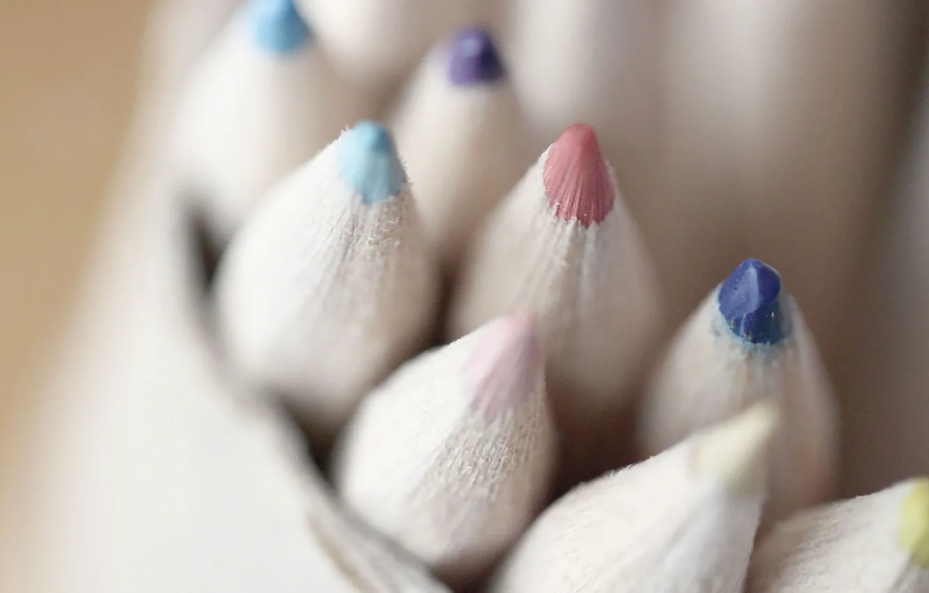 Фото обои цвет, карандаши, pencil