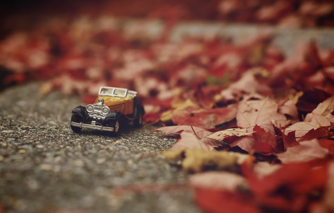 Фото обои машина, осень, листья, игрушка