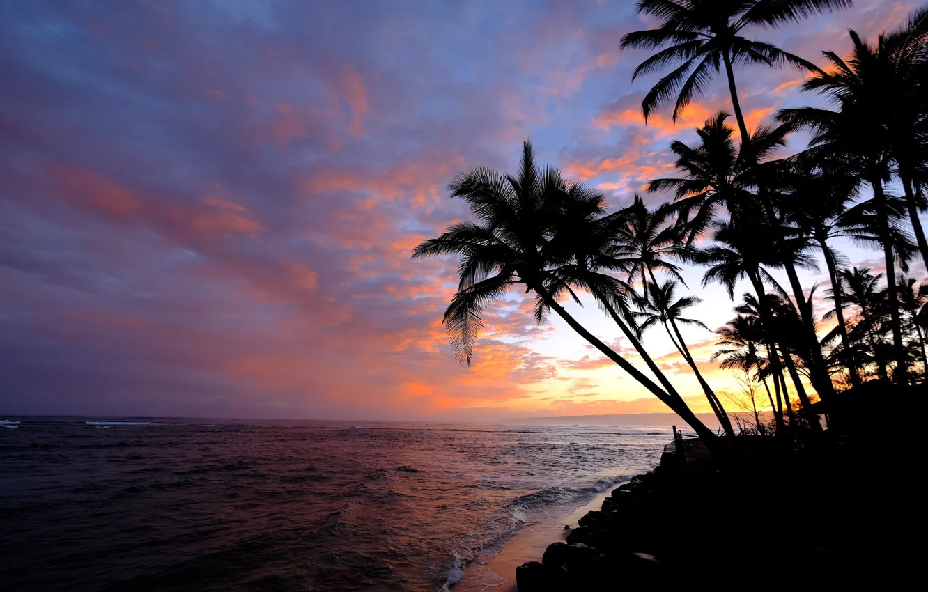 Фото обои небо, пальмы, океан, рассвет, утро, Гавайи, Pacific Ocean, Hawaii