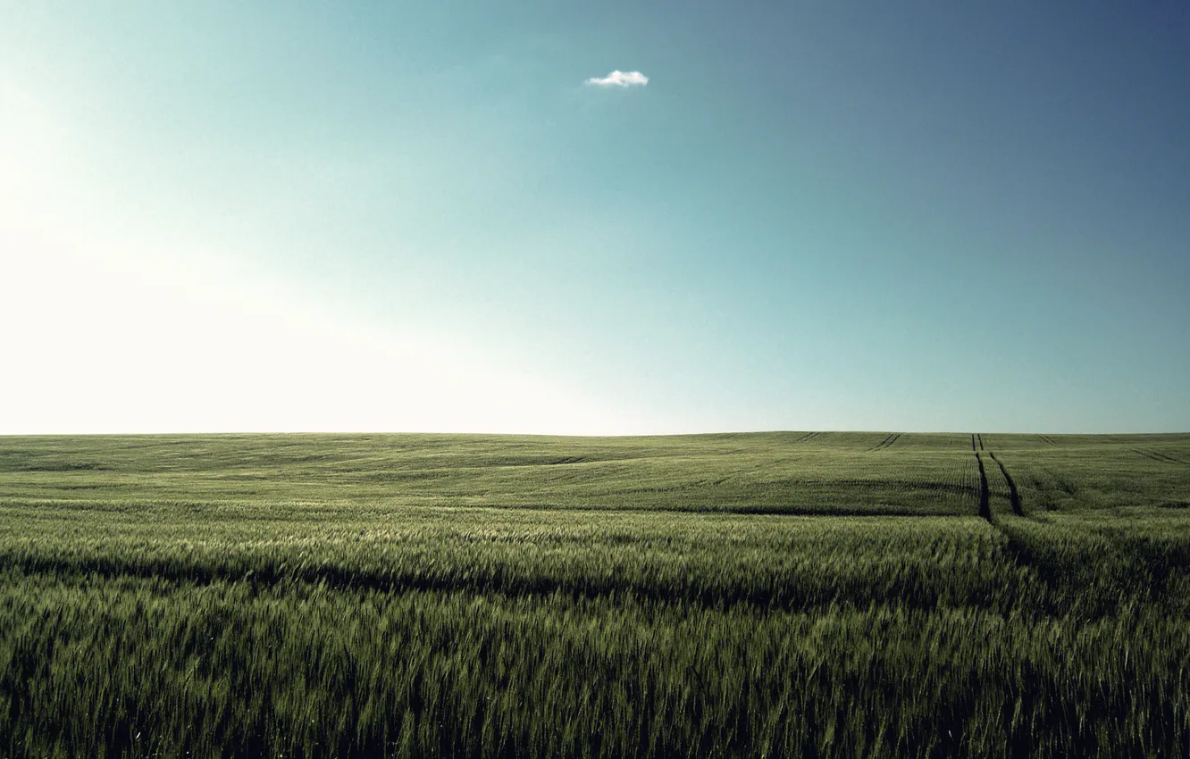 Фото обои небо, трава, облако, луг, тишь, солнечный_день