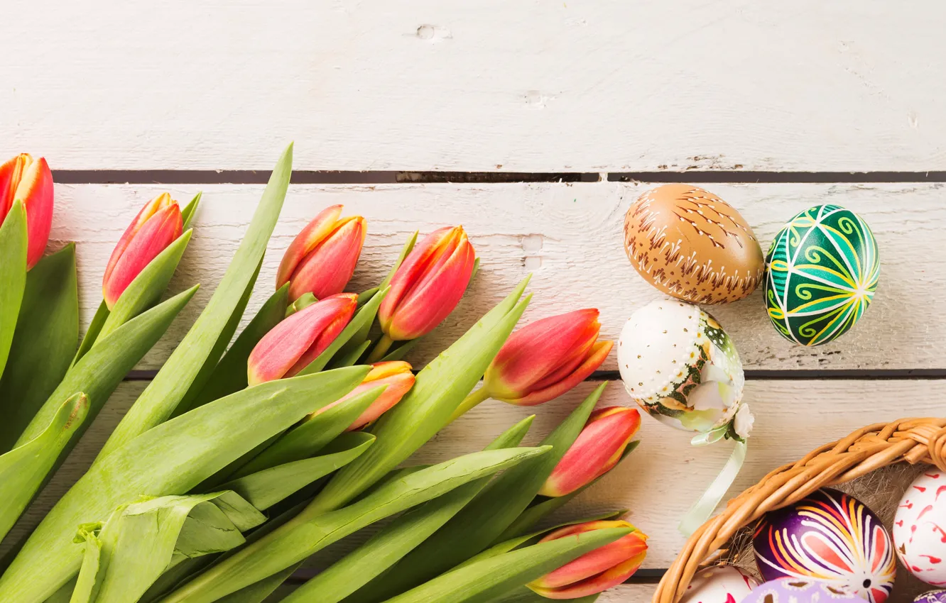 Фото обои цветы, весна, colorful, Пасха, тюльпаны, wood, flowers, tulips