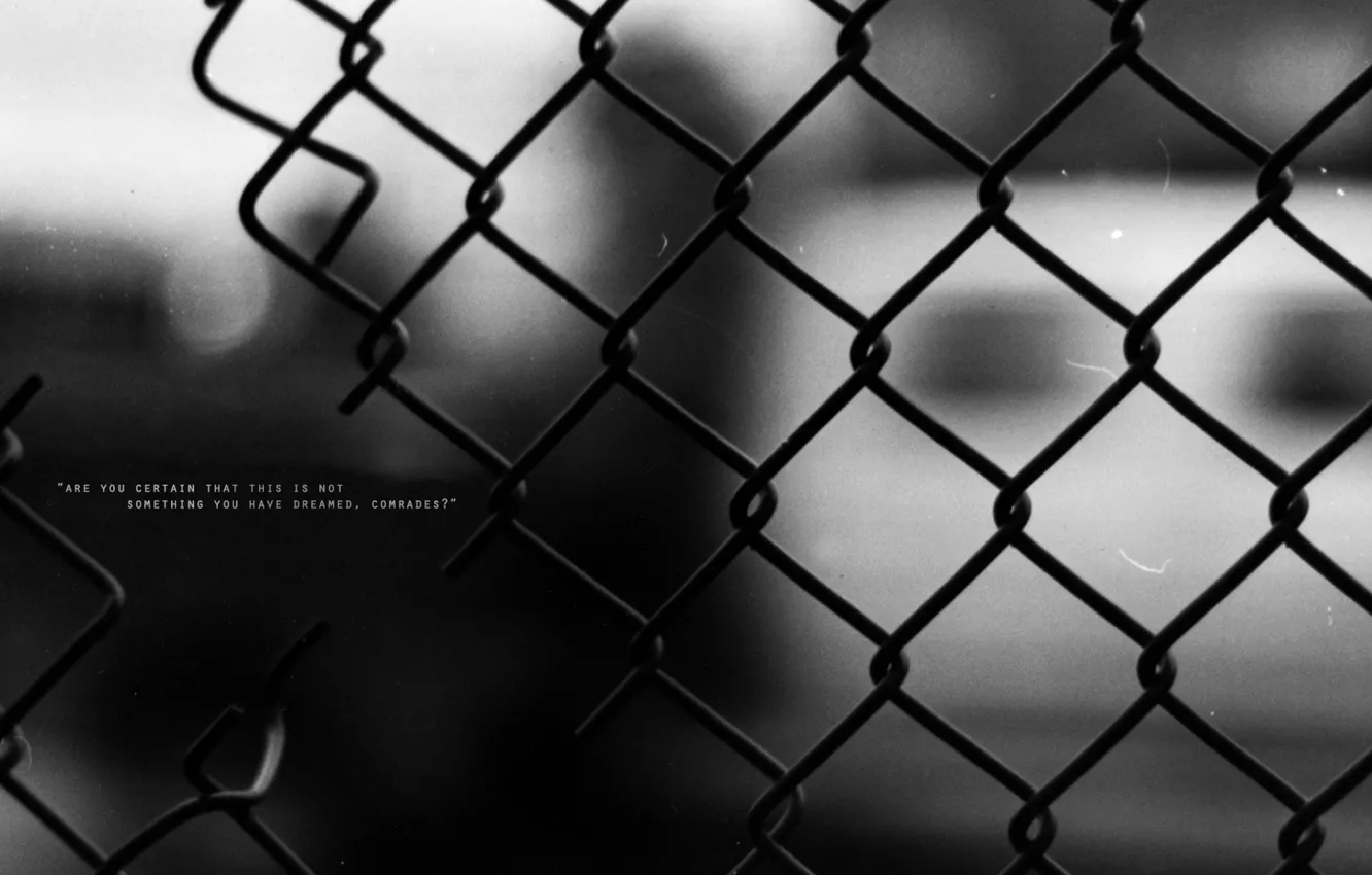Фото обои забор, проволока, слова, выражение