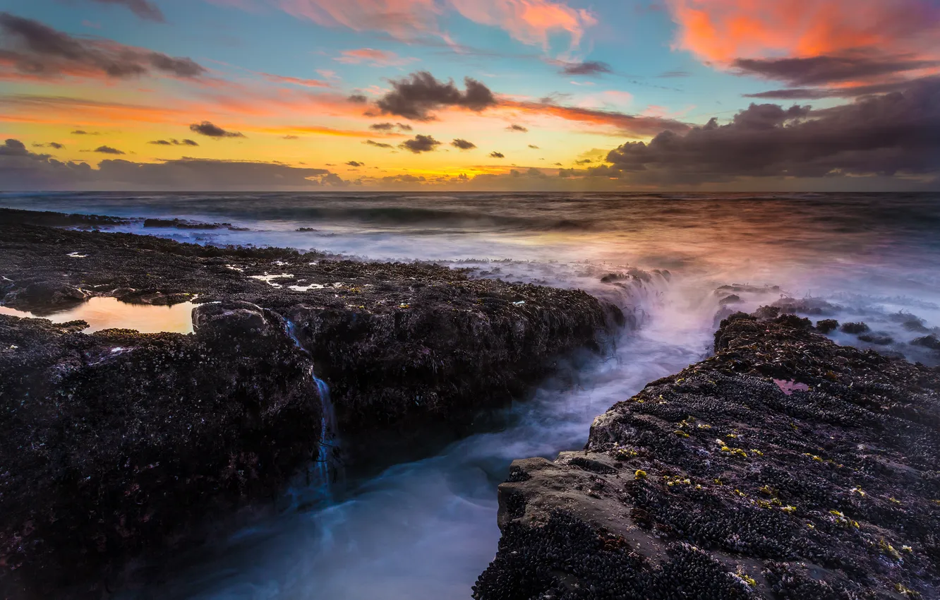 Фото обои пейзаж, камни, океан, рассвет, берег, Oregon Coast, Cape Arago State Park