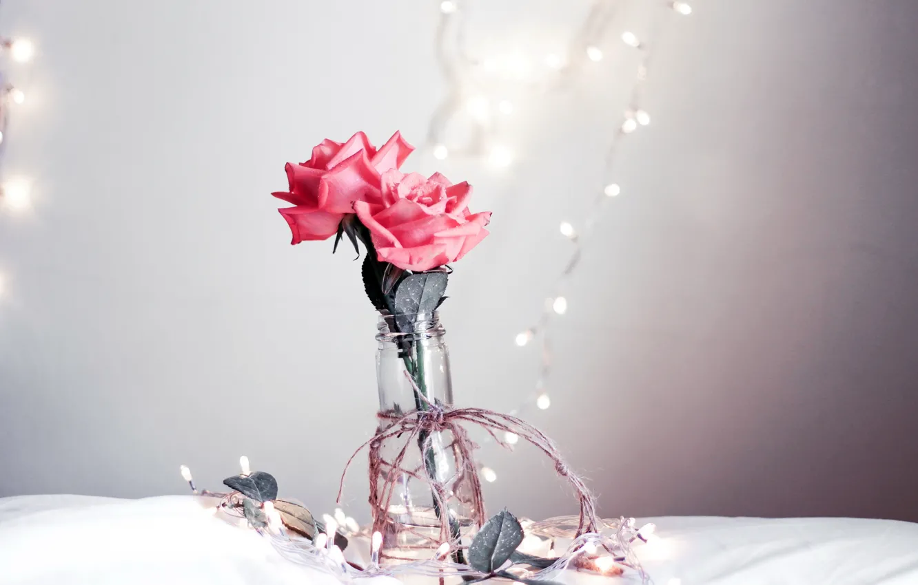 Фото обои цветы, розы, ваза
