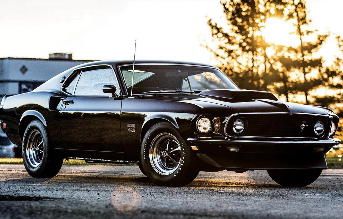 Фото обои Ford Mustang, cars, black cars, Ford Mustang 1969