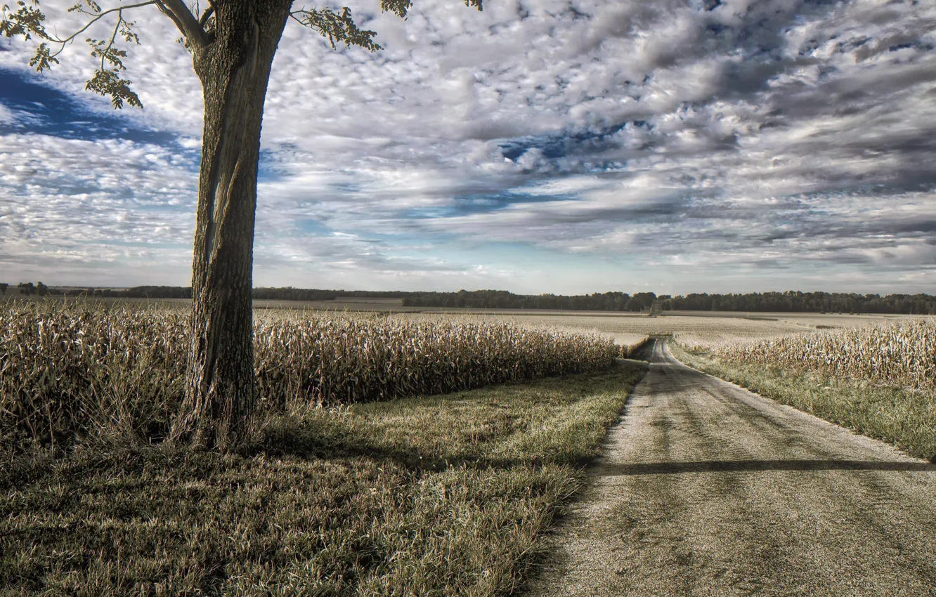 Фото обои Illinois, Road, Logan County