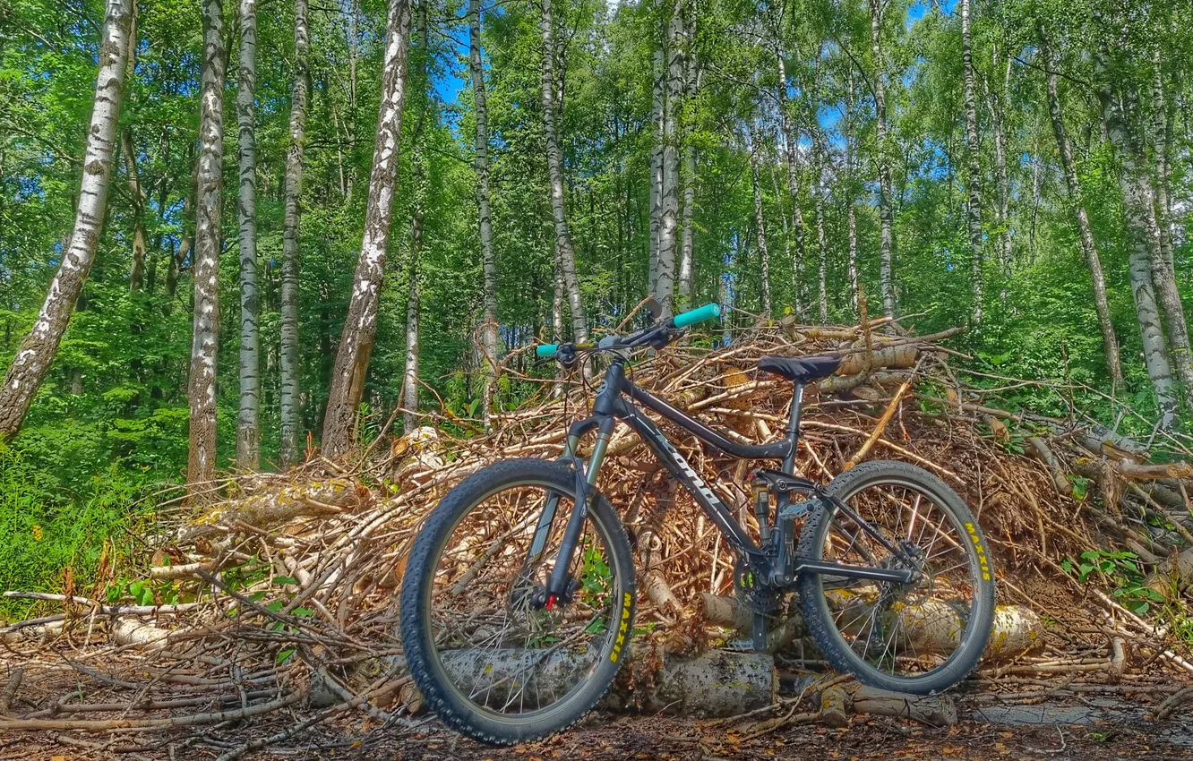 Фото обои Велосипед, forest, bicycle, bike, wood, trail, MTB, mountain bike