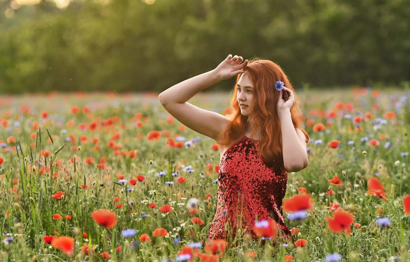 Фото обои лето, девушка, цветы, природа, поза, маки, руки, платье