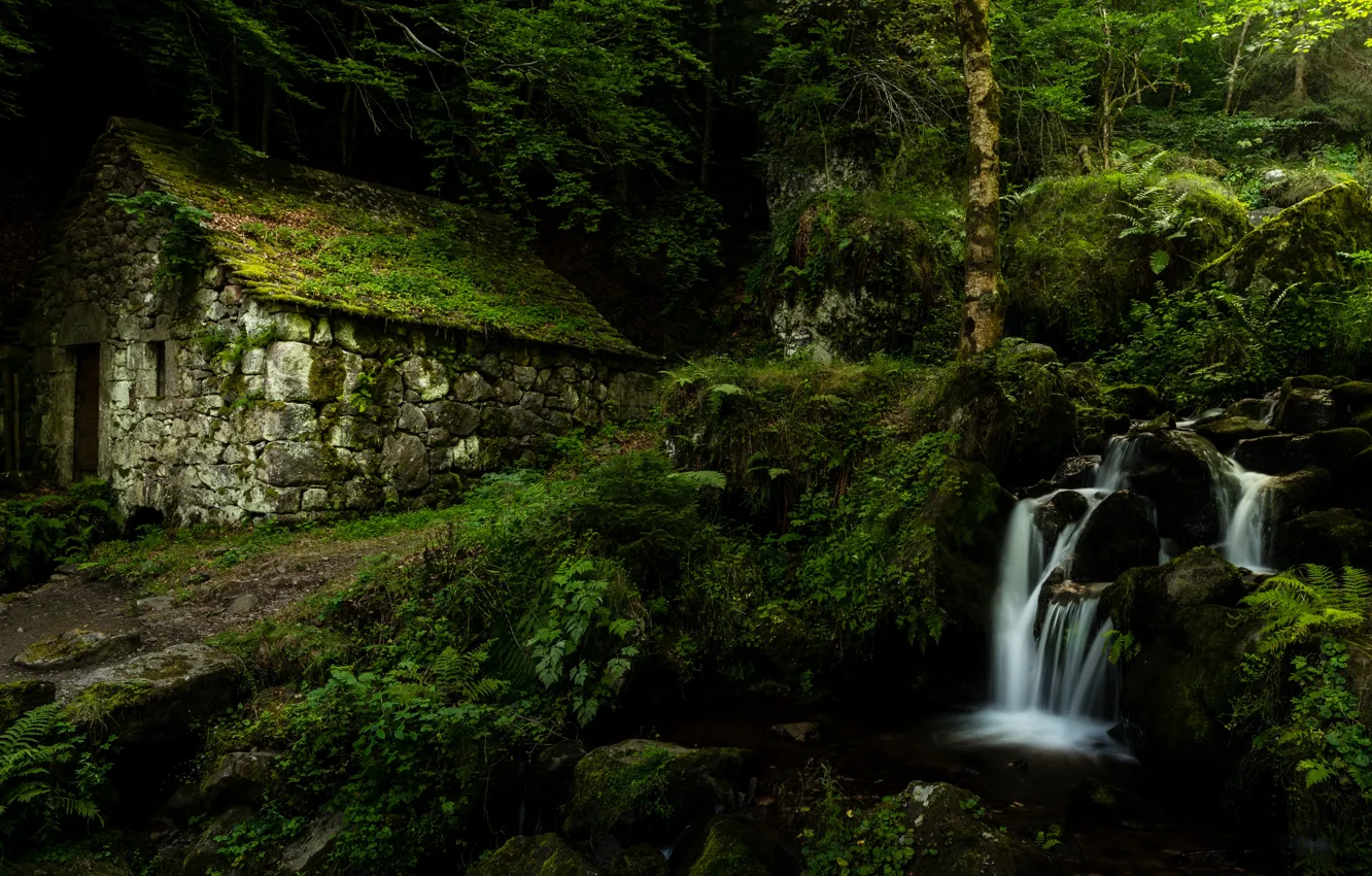 Фото обои лес, дом, ручей, Франция, водопад, France, Овернь, Auvergne