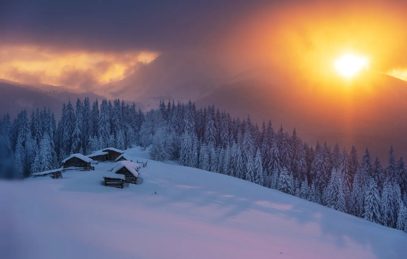 Фото обои зима, лес, солнце, снег, закат, горы, домики, Карпаты