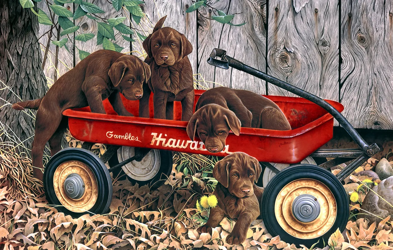 Фото обои осень, собаки, листья, природа, поза, дерево, рисунок, доски