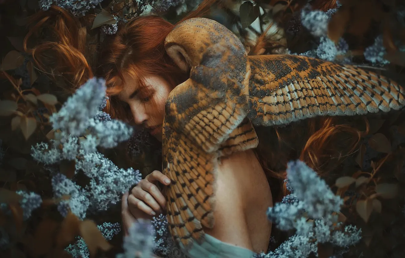 Фото обои девушка, сова, рыжие волосы, сирень, Marketa Novak