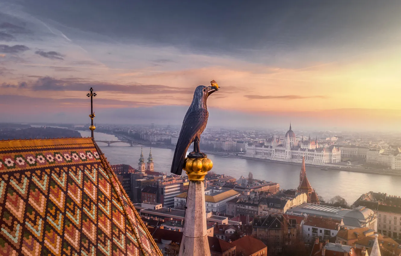Фото обои город, река, птица, дома, утро, фигура, Венгрия, Будапешт