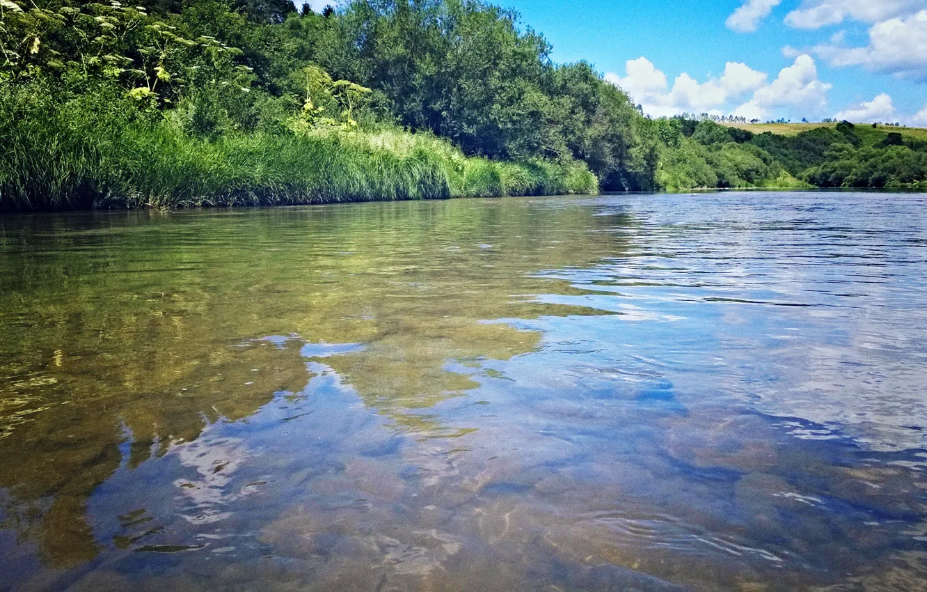Фото обои река, Карпаты, Стрый