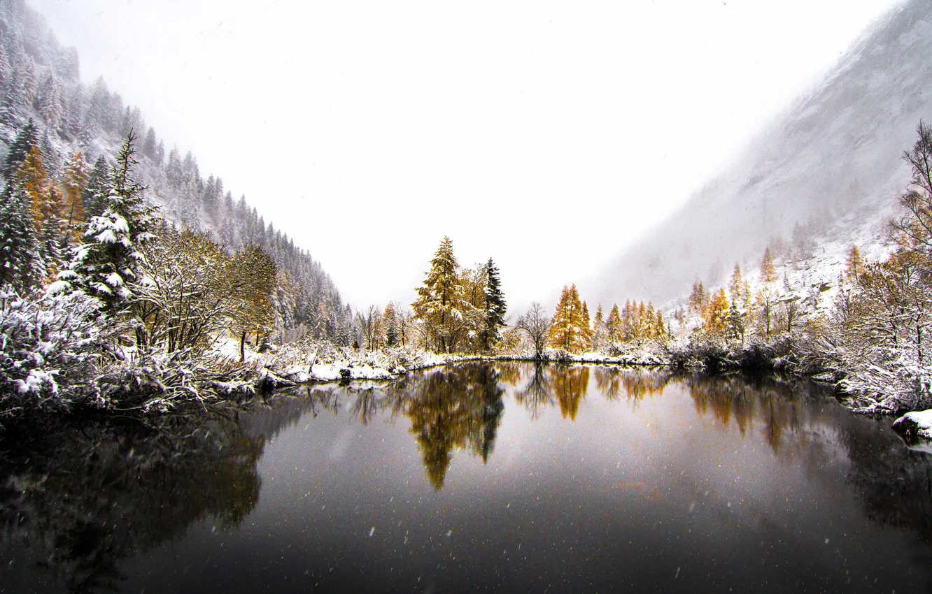 Фото обои зима, снег, деревья, горы, туман, озеро, отражение, зеркало
