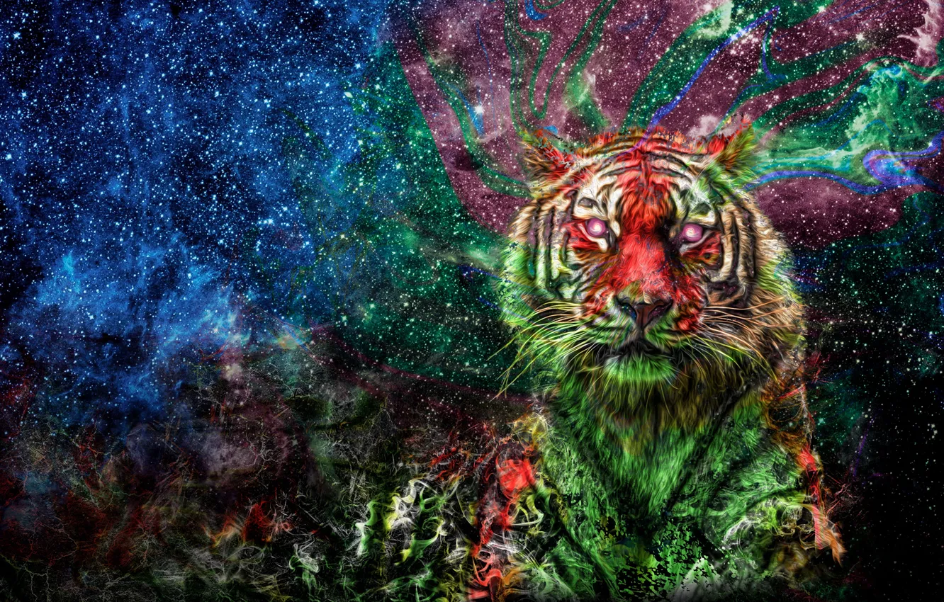 Фото обои космос, тигр, разноцветный, цветной