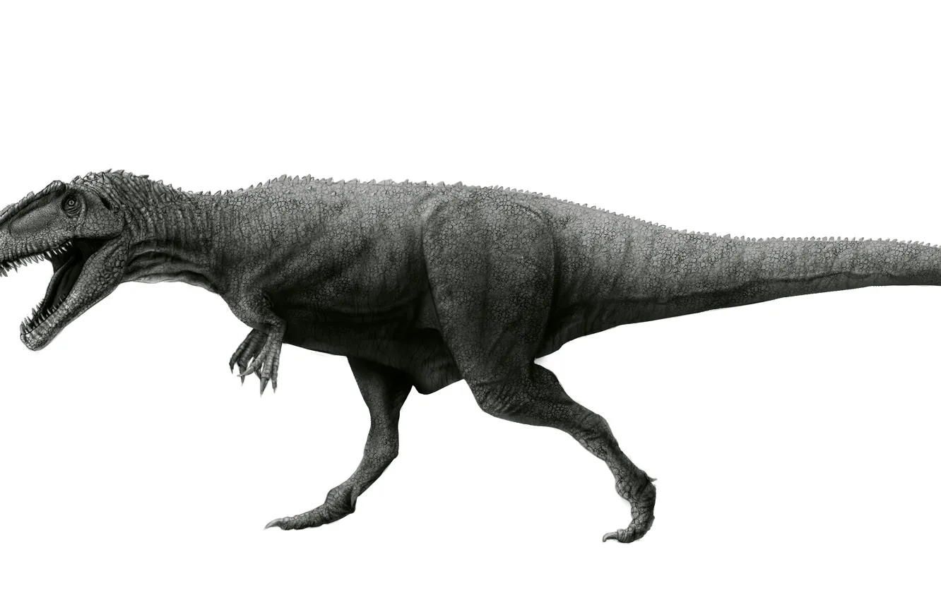 Фото обои Животные, Древние, Динозавры, Acrocanthosaurus, Акрокантозавр, atokensis