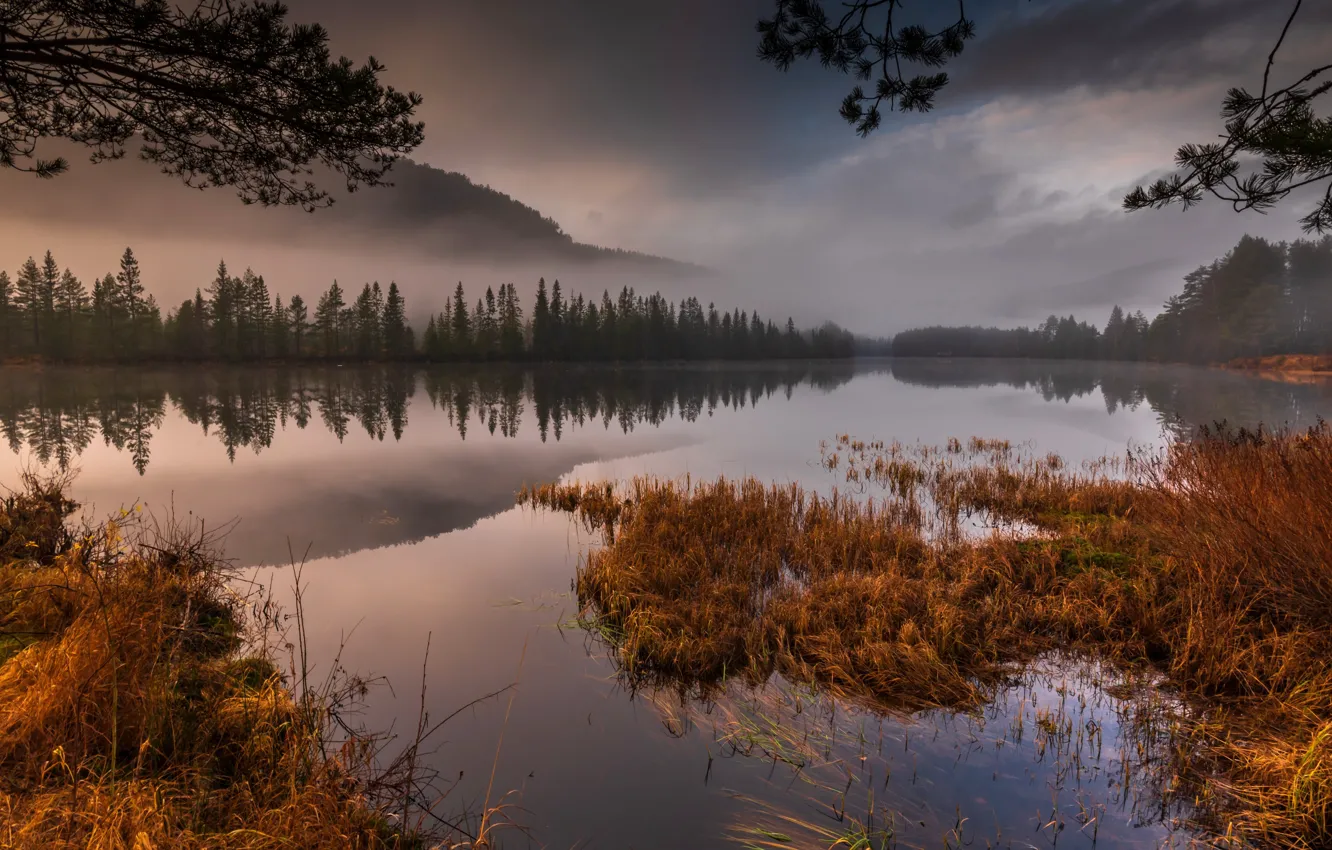Фото обои осень, природа, озеро