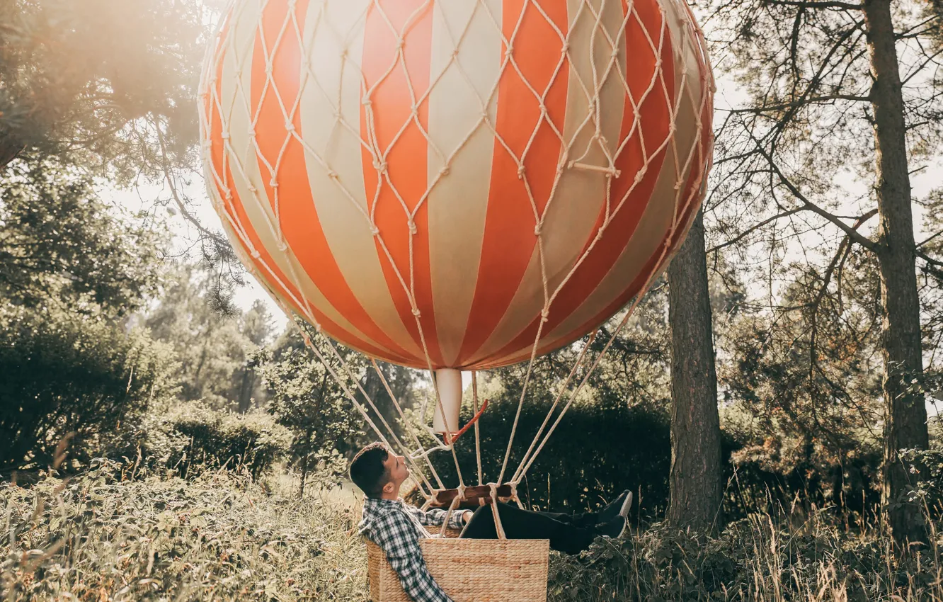 Фото обои лес, воздушный шар, Adam Bird, Up Up and Away