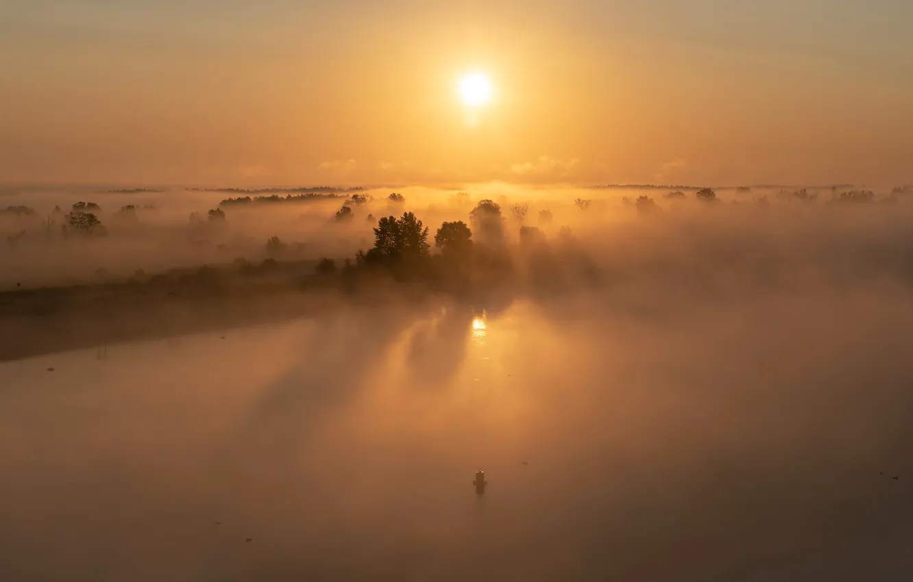 Фото обои туман, река, Солнце, river, sun, fog, Дмитрий Захаров