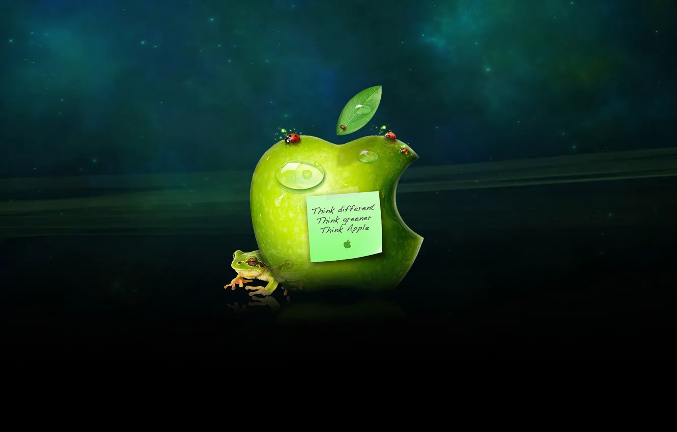 Фото обои Apple, яблоко, лягушка, огрызок