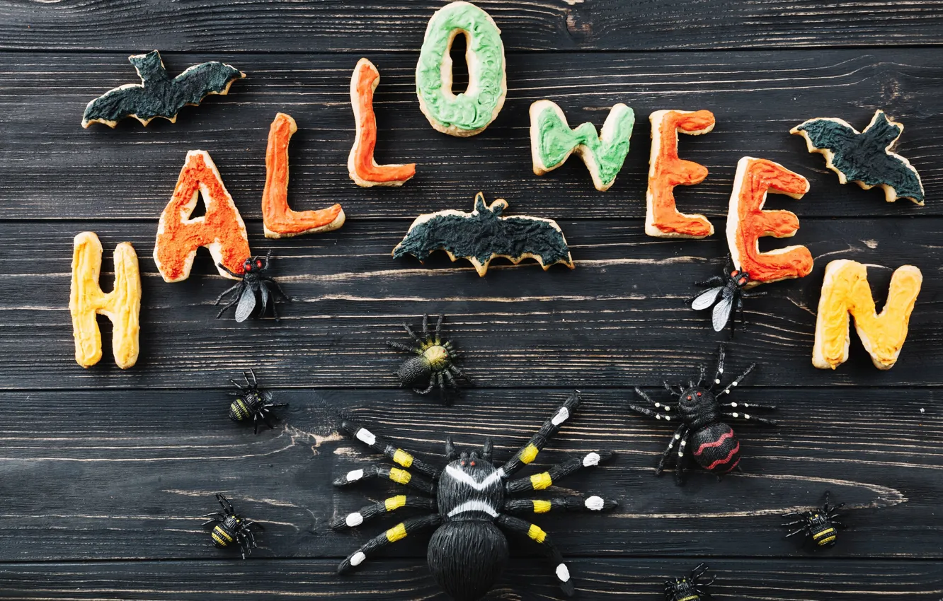 Фото обои буквы, праздник, паук, хэллоуин, печеньки