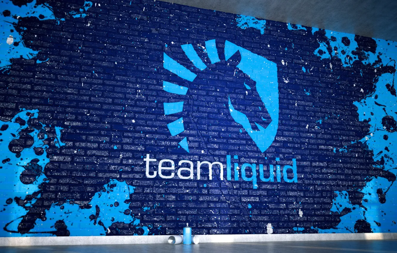 Фото обои team, dota2, cs:go, counter-strike global offensive, team liquid