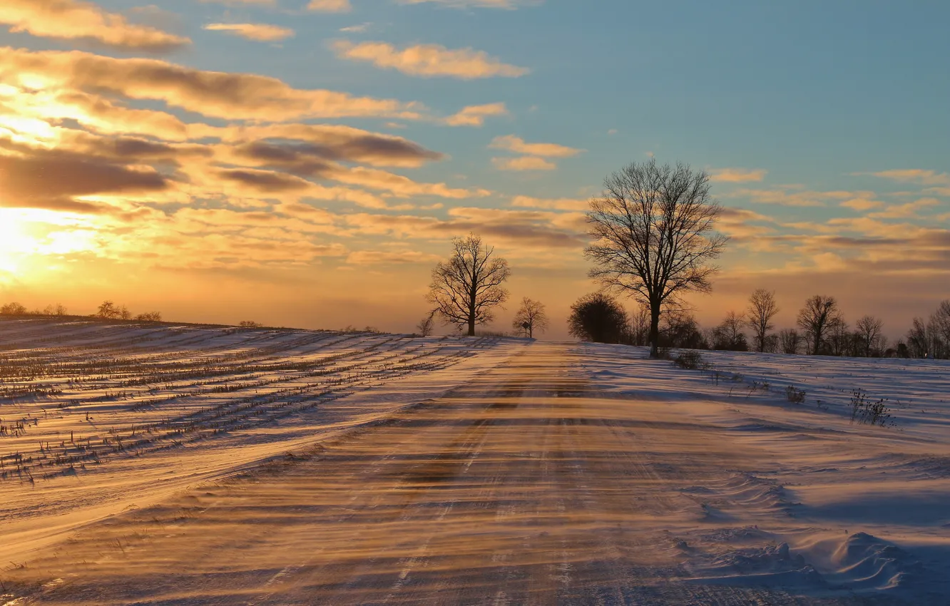Фото обои холод, зима, дорога, снег, деревья, мороз, поземка