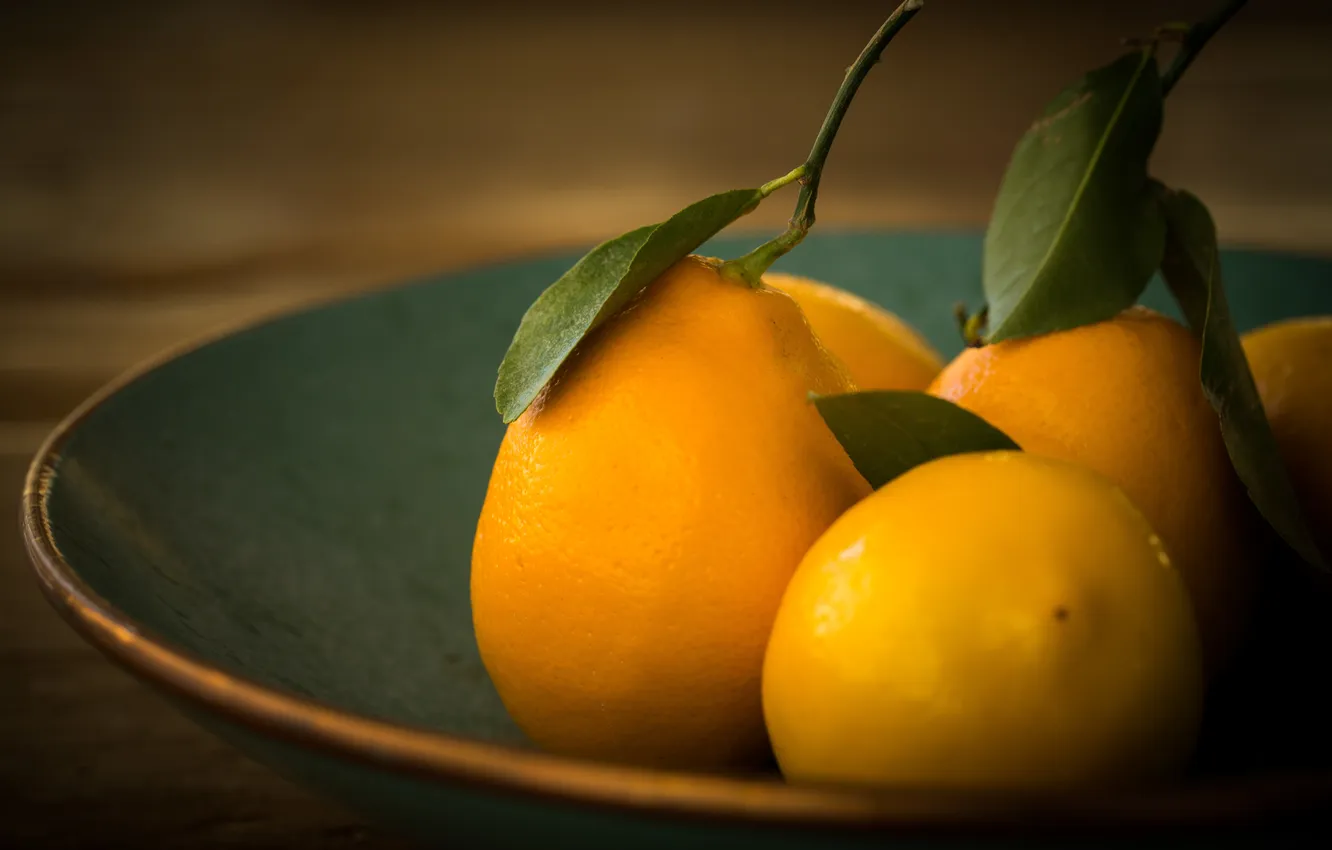 Фото обои макро, тарелка, фрукты, лимоны