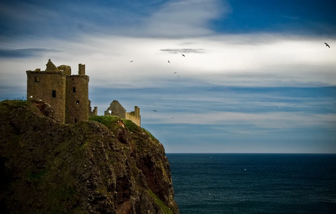 Фото обои море, замок, чайки, Шотландия, Данноттар