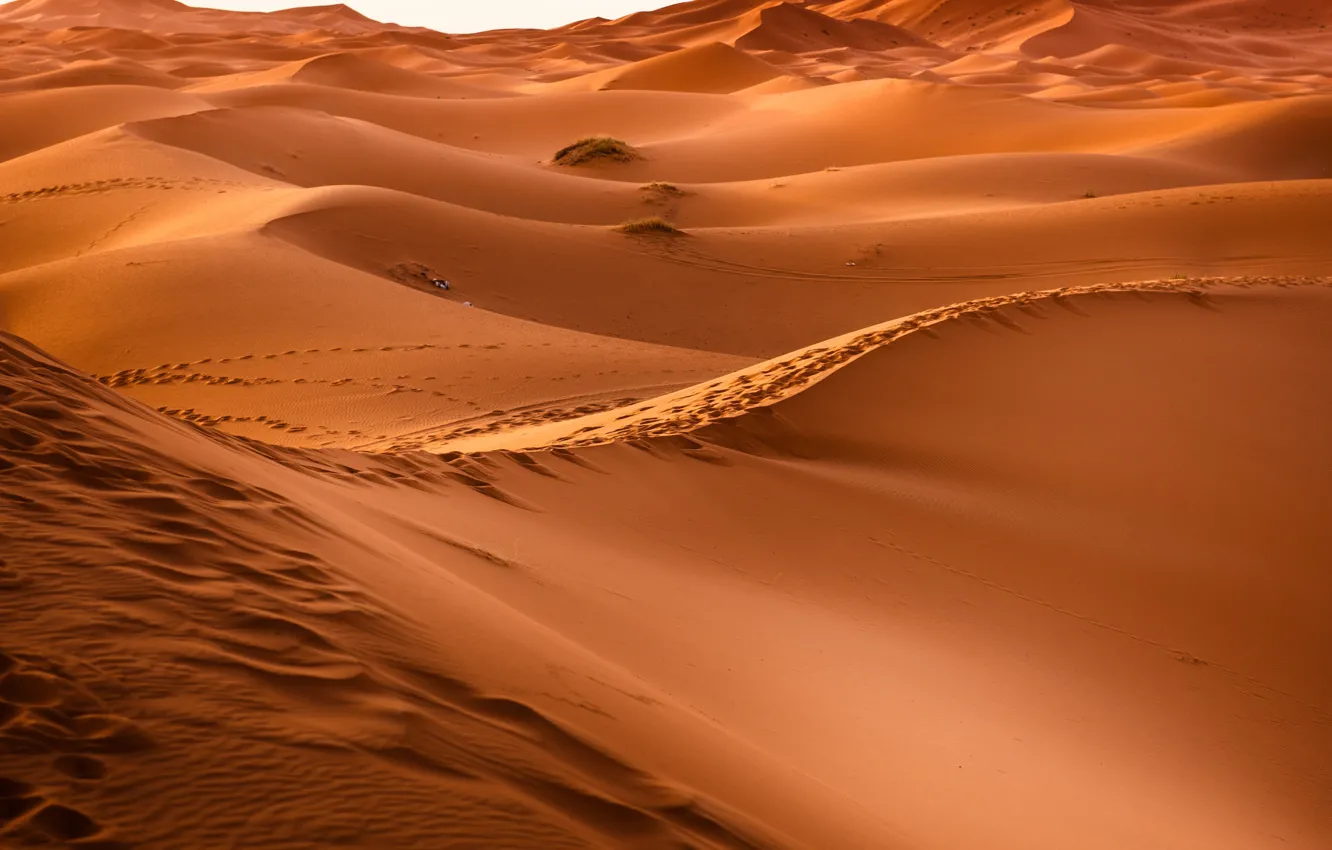 Фото обои Hot, Sahara, Sand, Desert, Dunes