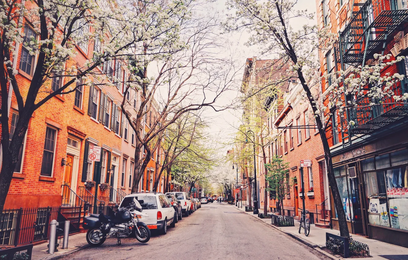 Фото обои деревья, велосипед, улица, Нью-Йорк, мотоцикл, автомобили, Соединенные Штаты