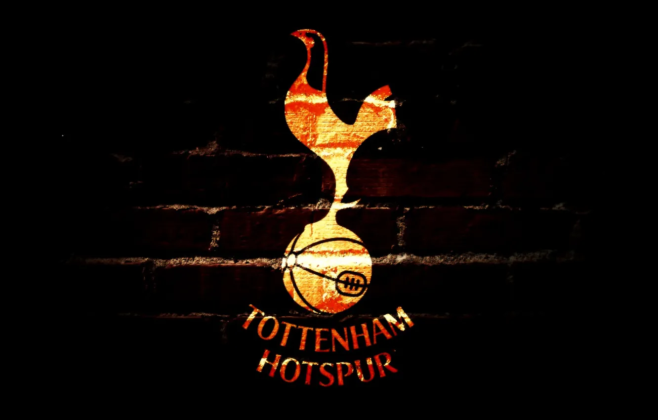 Фото обои Football, Spurs, Tottenham Hotspur, tottenham wallpaper