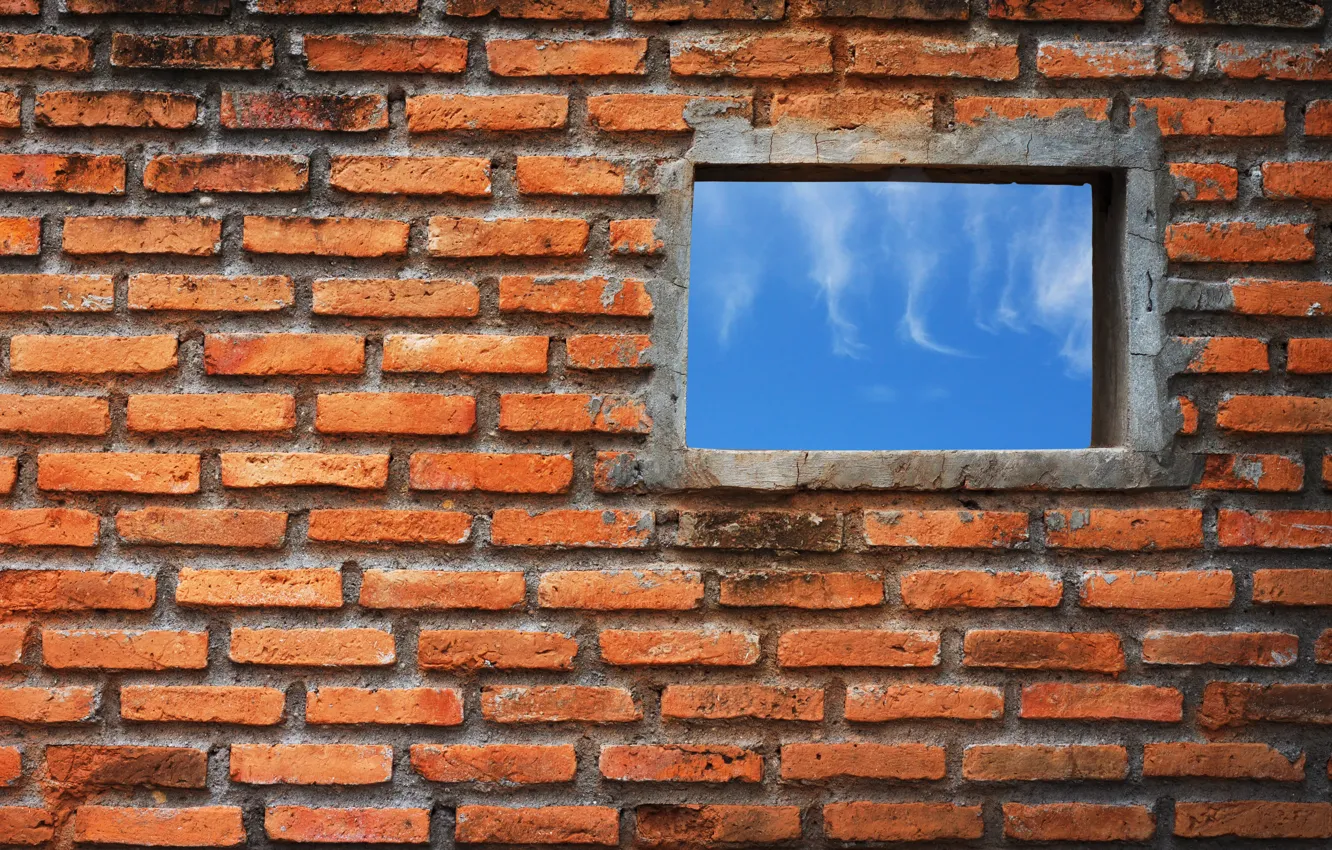 Фото обои wall, bricks, window