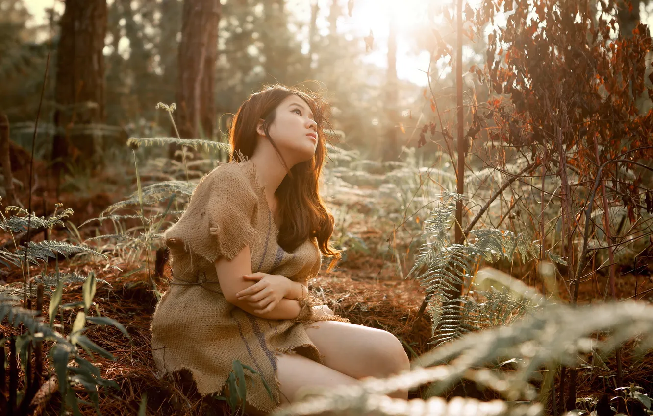 Фото обои лес, девушка, настроение, азиатка