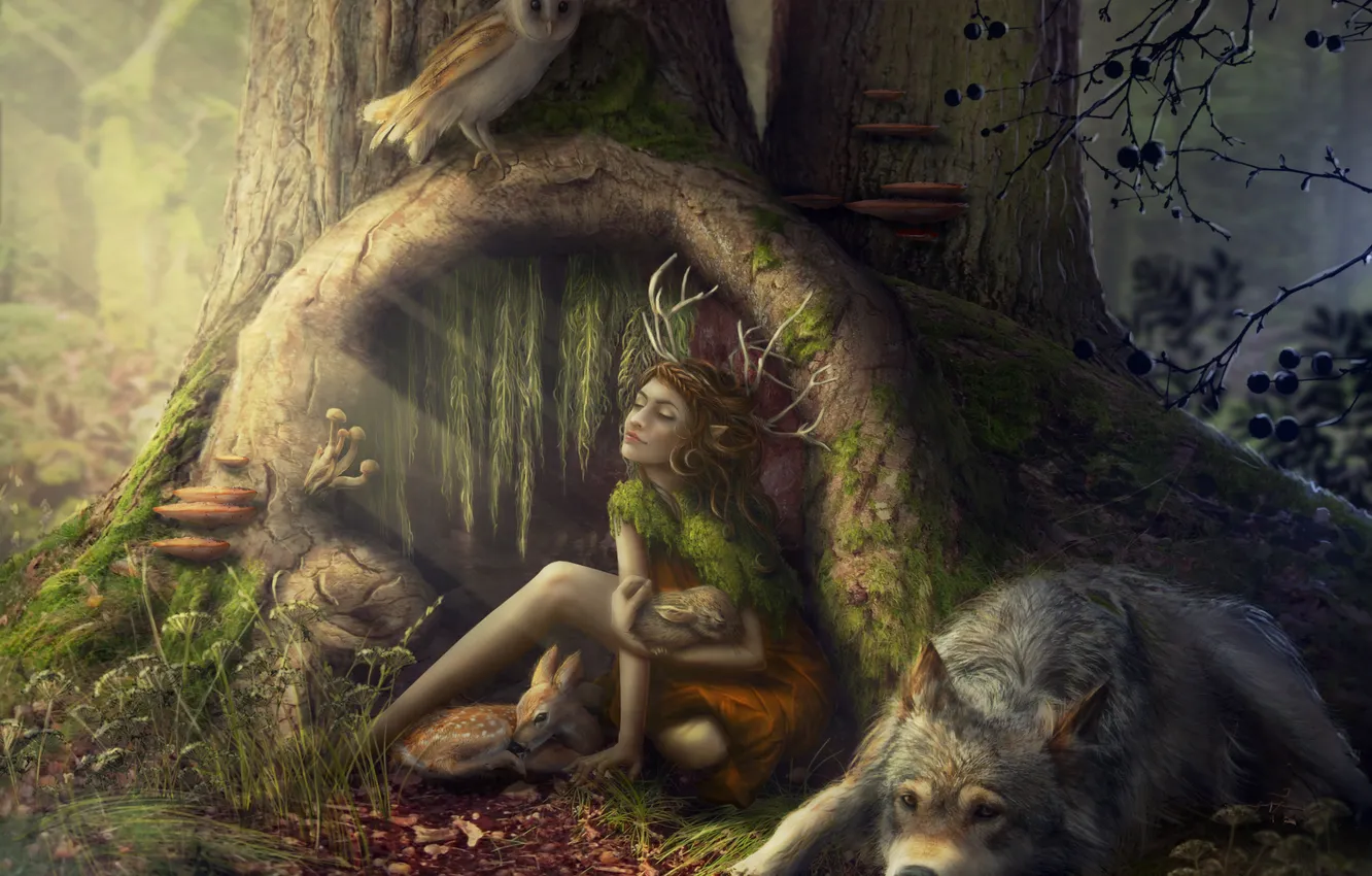 Фото обои лес, животные, девушка, звери, сова, волк, олененок