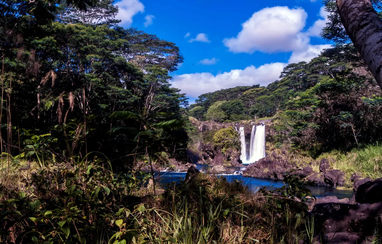 Фото обои лес, деревья, скала, камни, водопад, Гавайи, речка