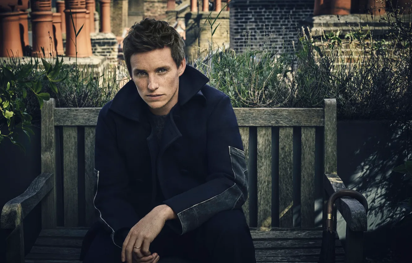 Фото обои скамейка, зонт, актер, пальто, фотосессия, 2016, Eddie Redmayne, Эдди Редмэйн