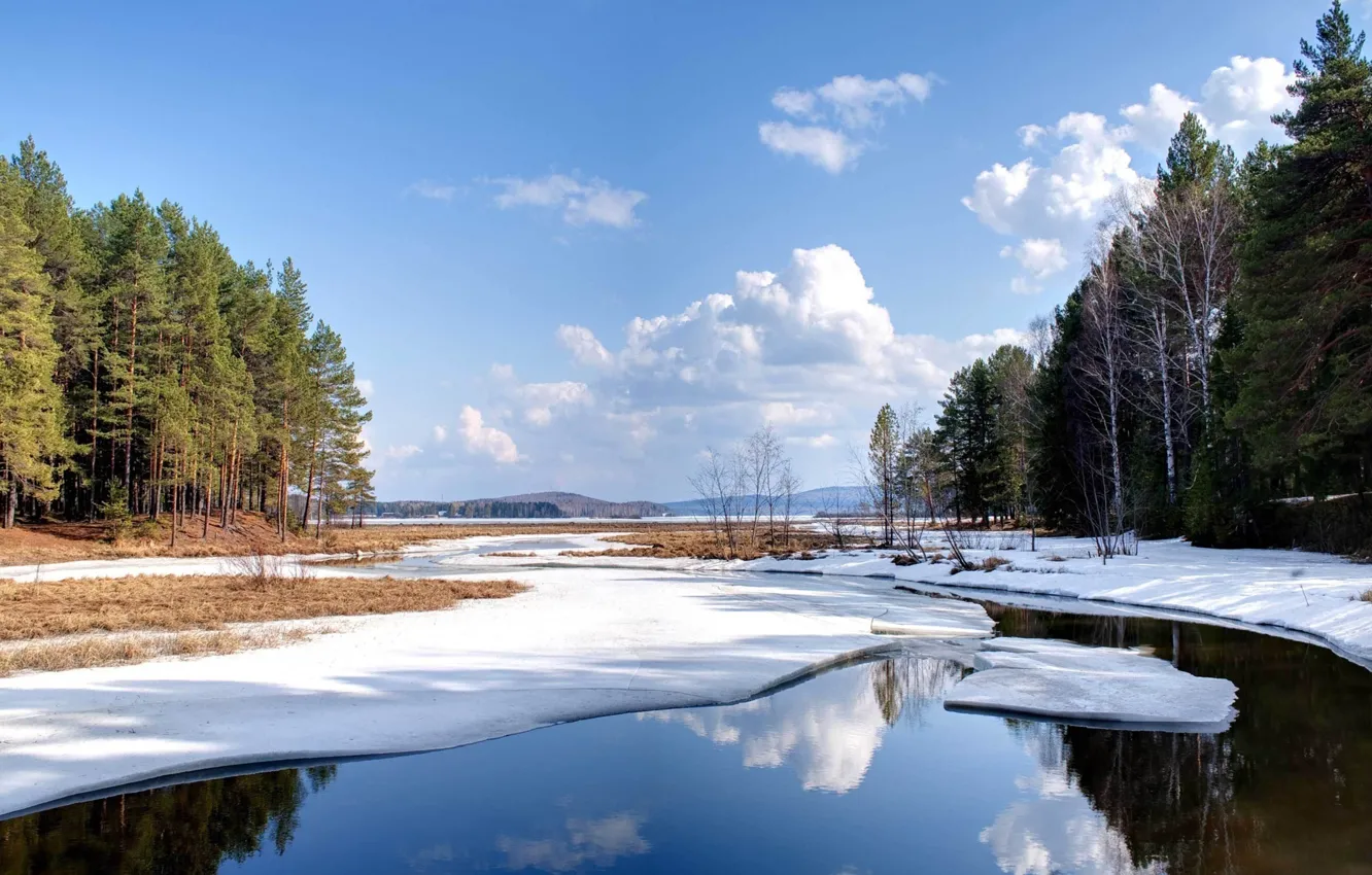 Фото обои зима, лес, небо, облака, снег, деревья, природа, река