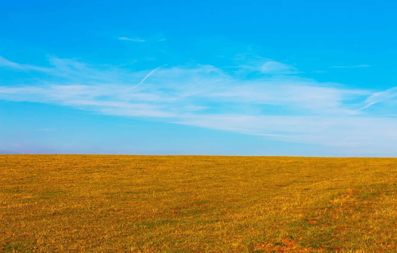 Фото обои поле, небо, облака, пейзаж, природа, горизонт, sky, field