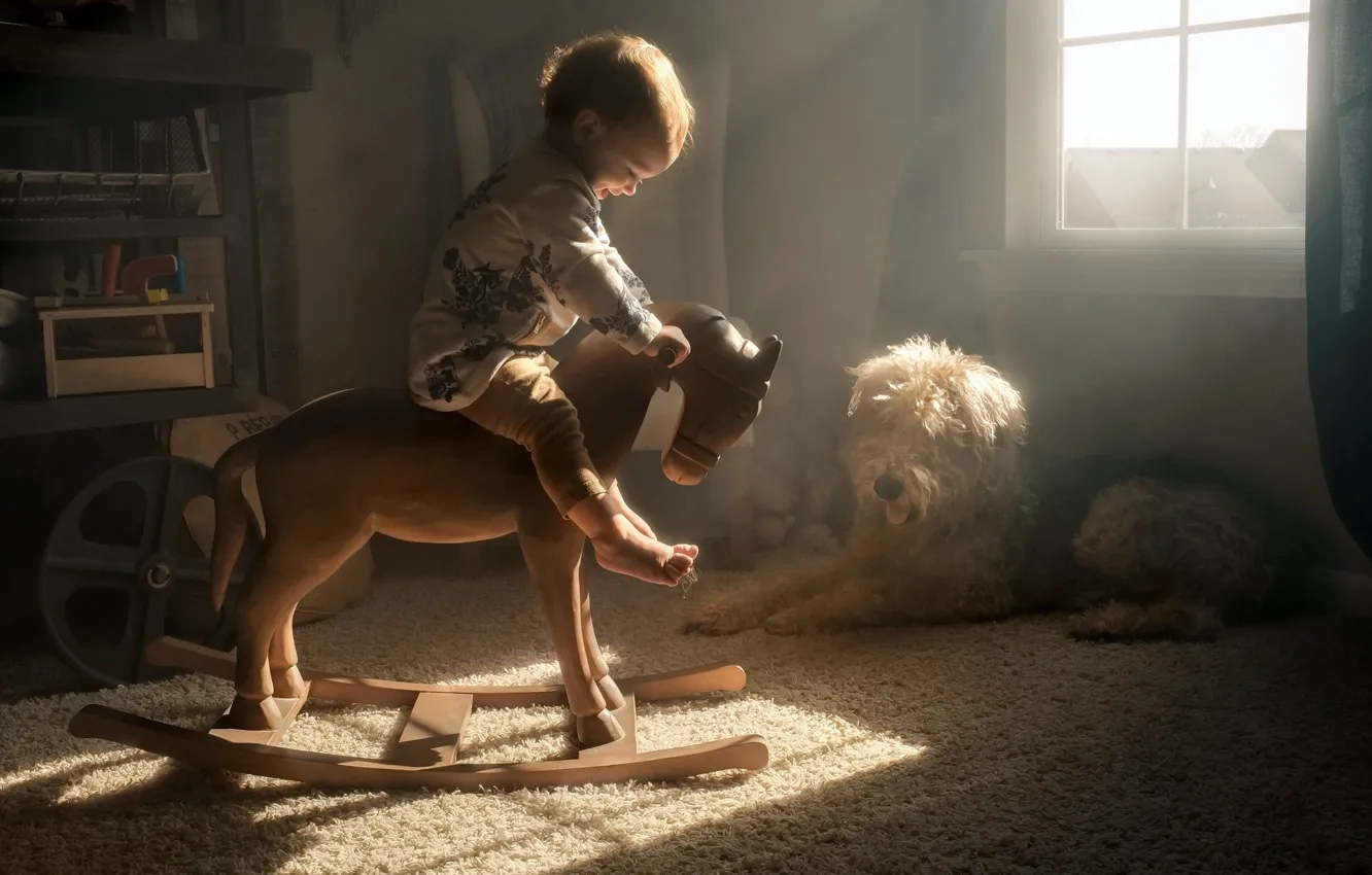Фото обои уют, дом, конь, собака, ребёнок