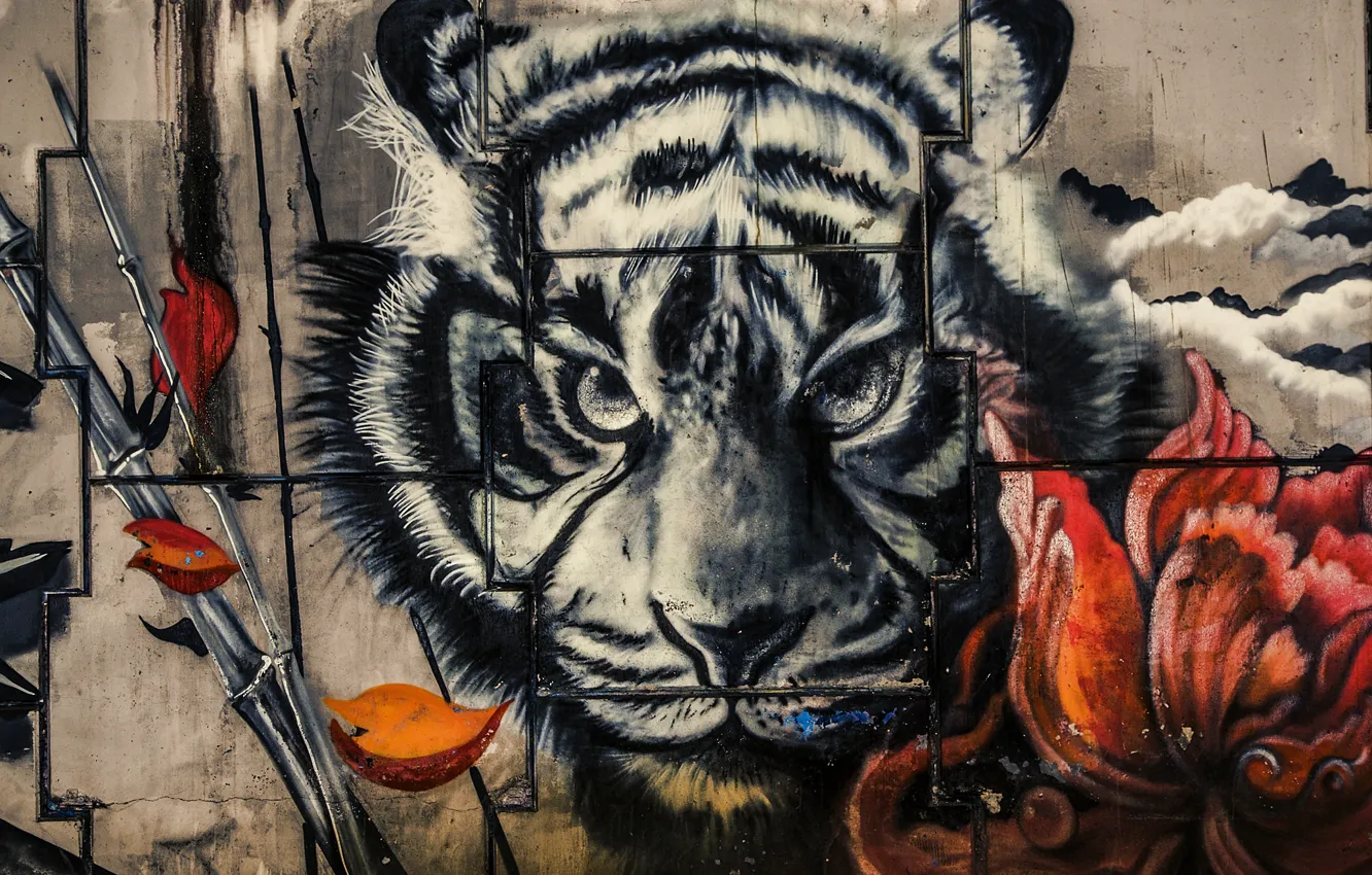 Фото обои тигр, стена, краски, граффити