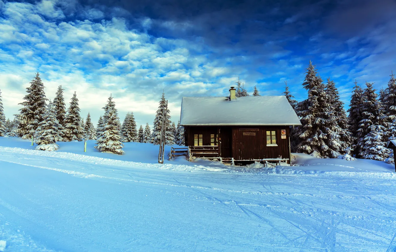 Фото обои зима, лес, небо, снег, дом, ели, sky, winter