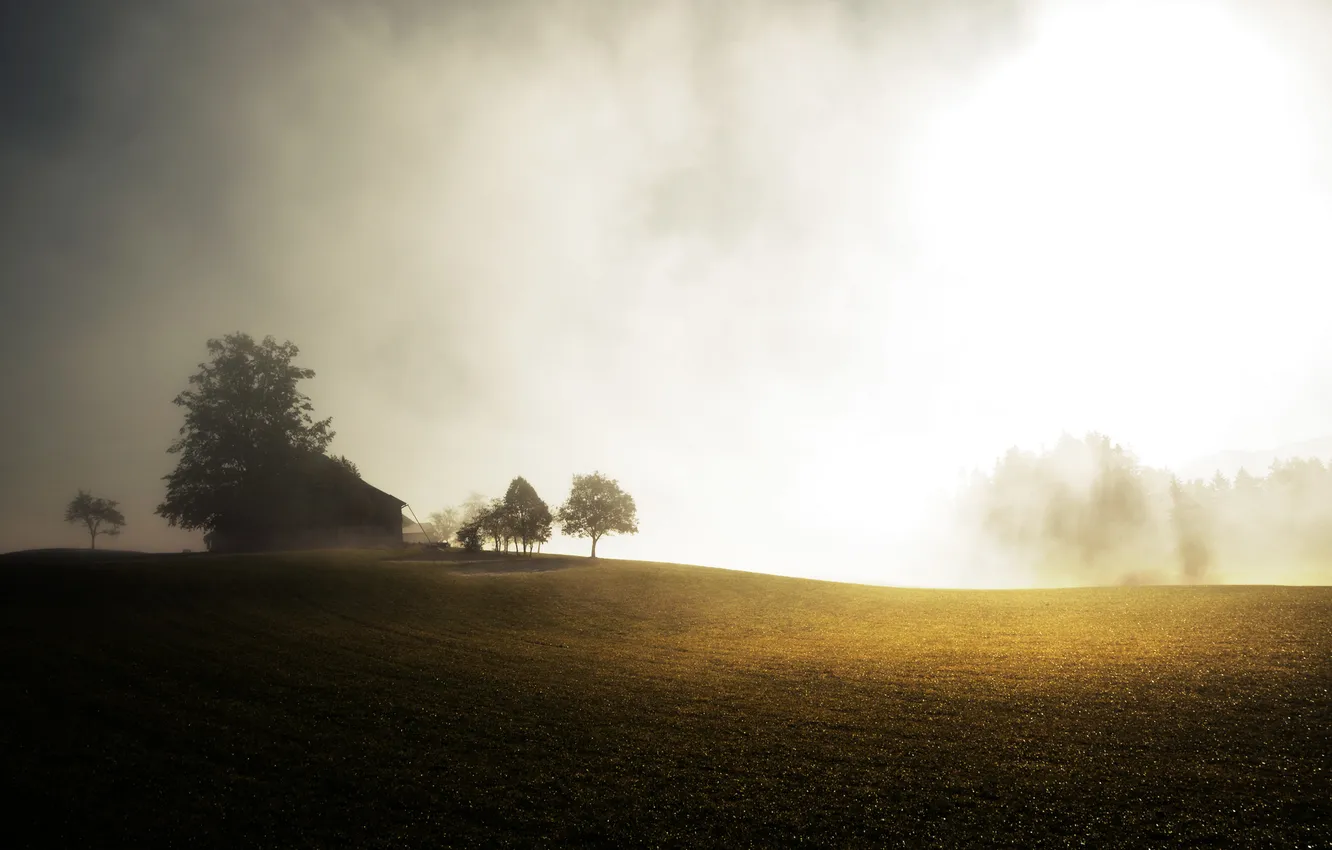 Фото обои поле, деревья, туман, дом, утро, солнечные лучи