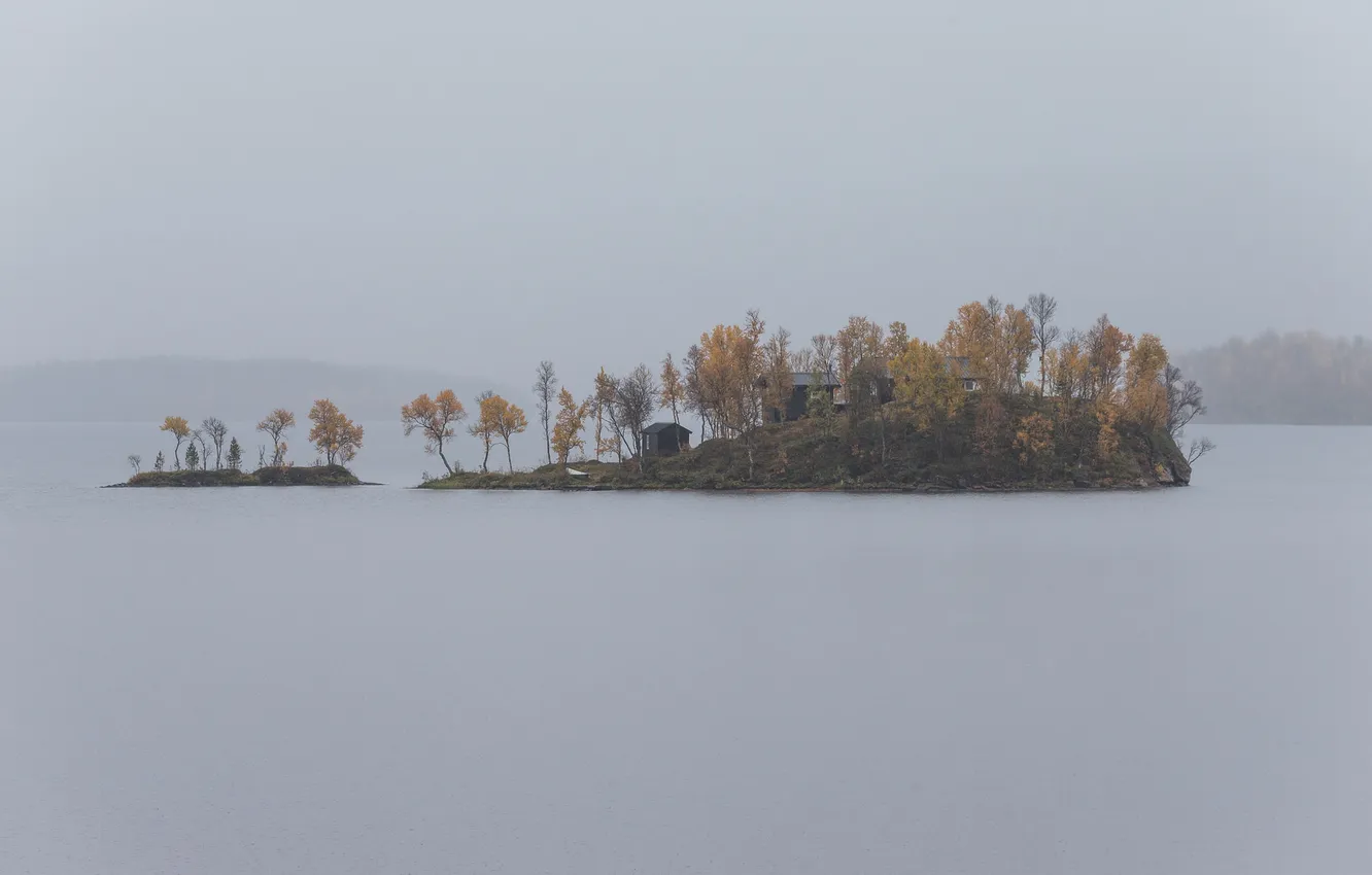 Фото обои деревья, туман, озеро, дом, лодка, островок, серое небо, дождливый