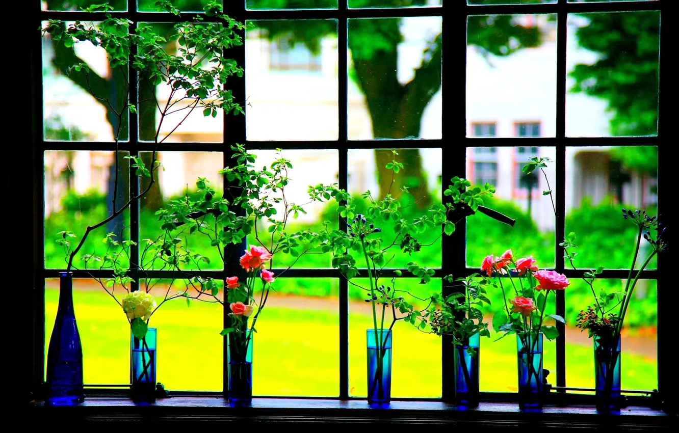 Фото обои цветы, рама, окно, ваза